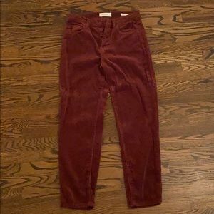 Burgundy velvet-like pants